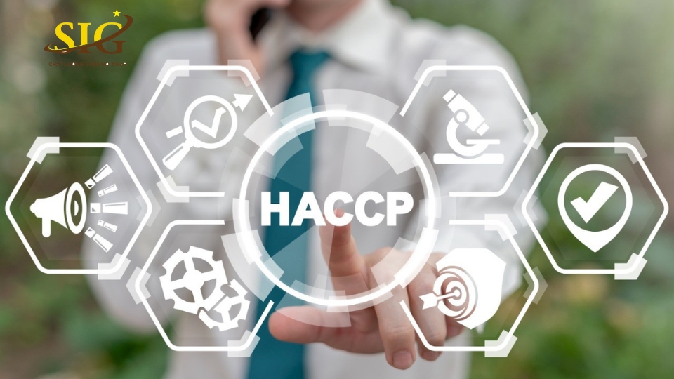 7 Nguyên Tắc HACCP