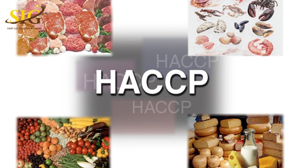 Chương trình HACCP