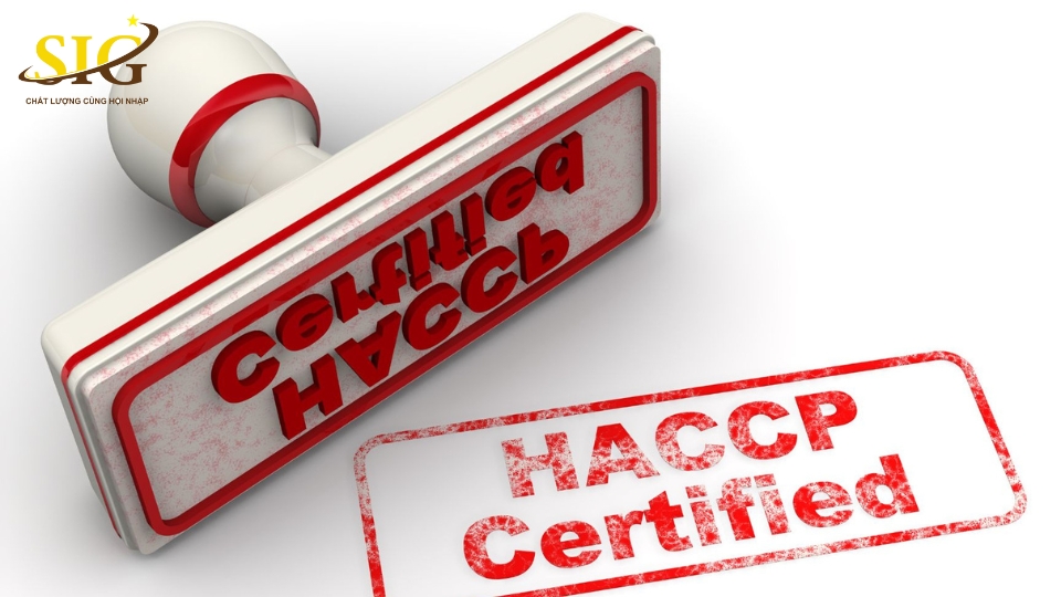 HACCP là viết tắt của từ gì