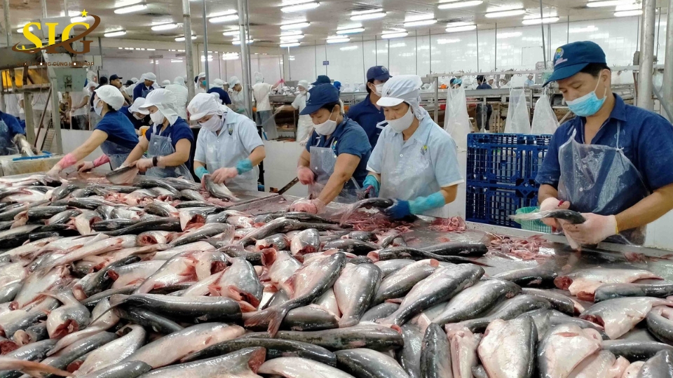 HACCP thủy sản