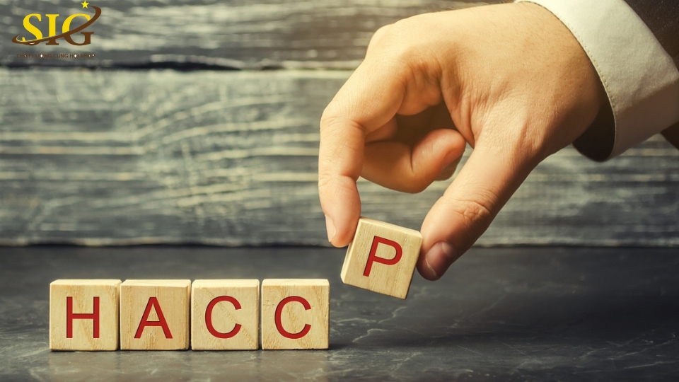 bảng mô tả sản phẩm HACCP