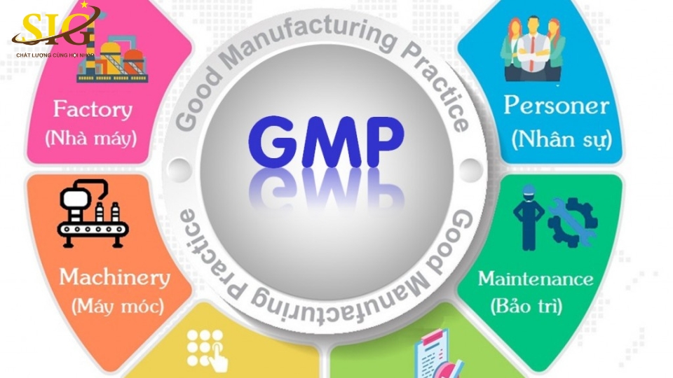 GMP trong sản xuất thực phẩm