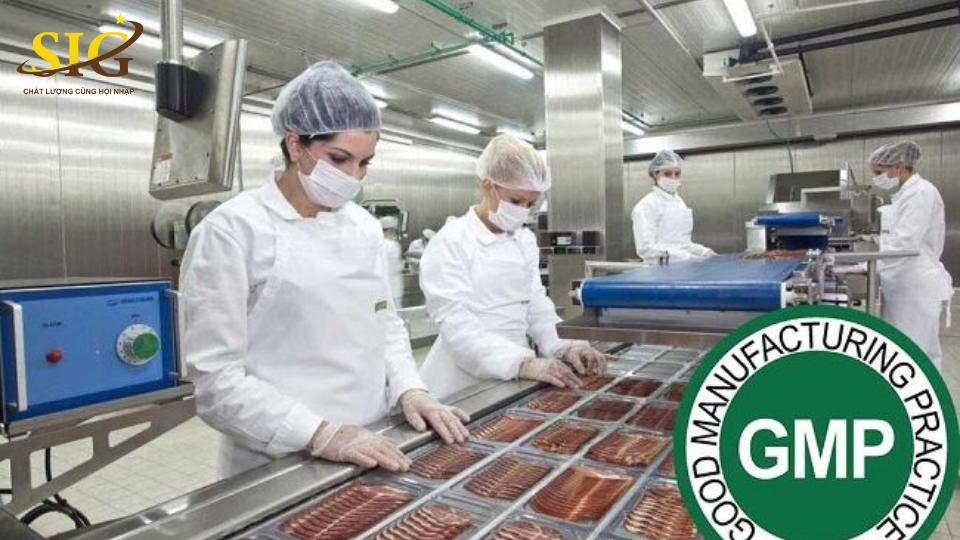 GMP trong sản xuất thực phẩm