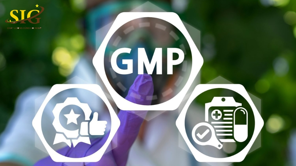 GMP viết tắt của từ gì