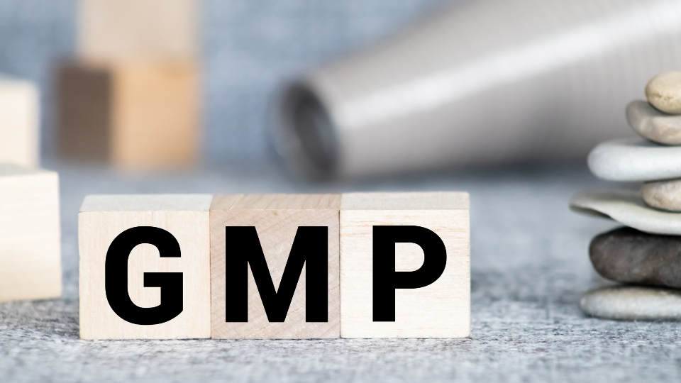 ISO 9001 và GMP