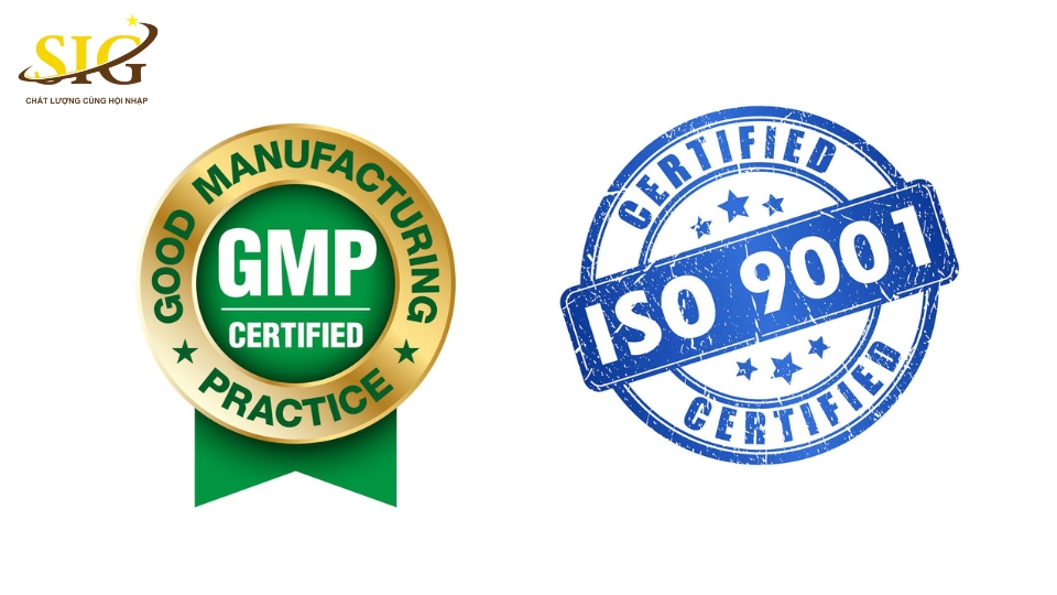 ISO 9001 và GMP