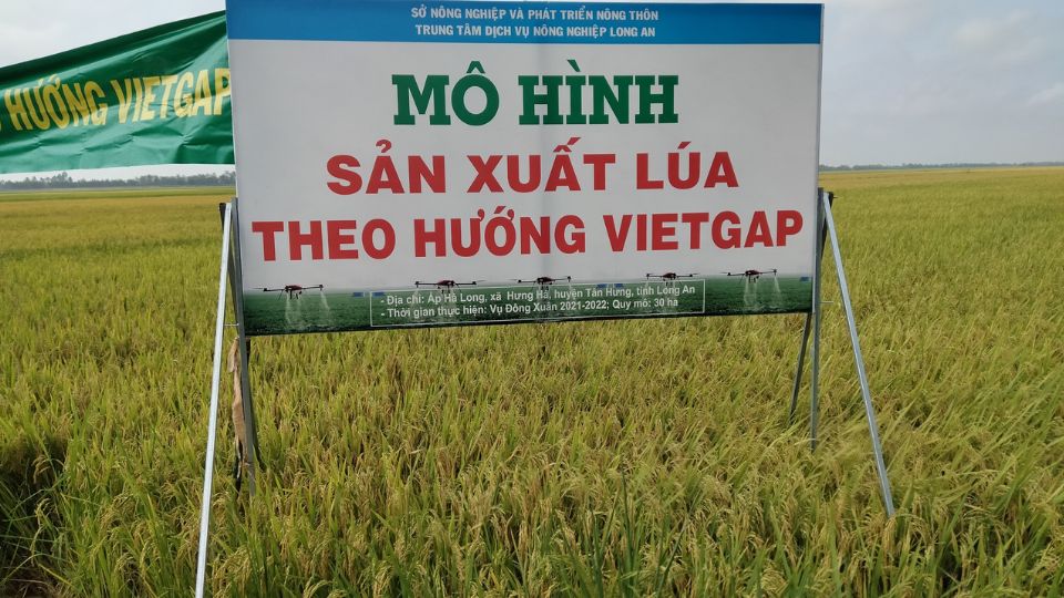 Mô hình VietGAP