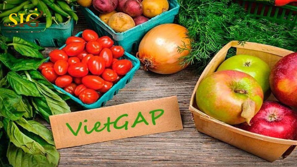 Thủ Tục Đăng Ký VietGAP