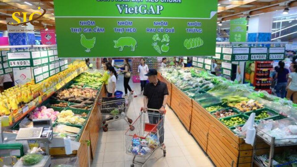 Thủ Tục Đăng Ký VietGAP