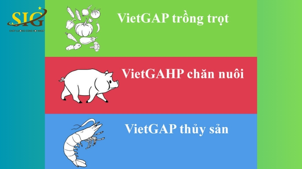 Tiêu chuẩn VietGAP