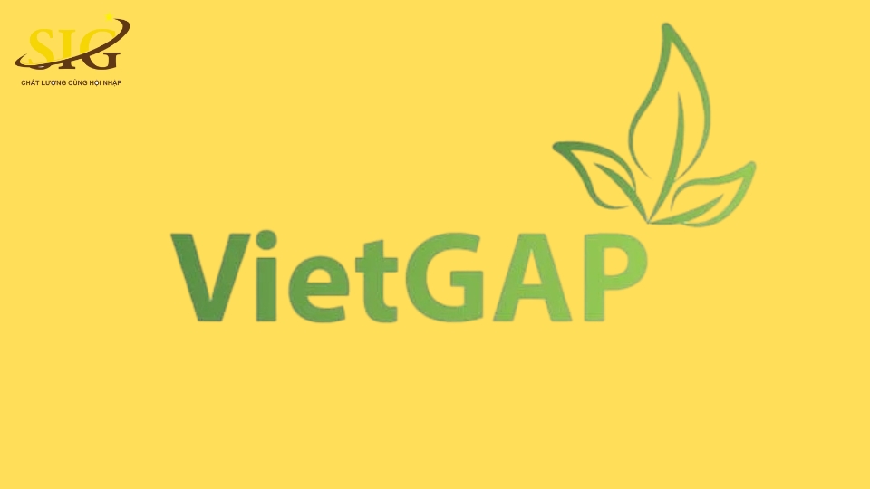 Tiêu chuẩn VietGAP
