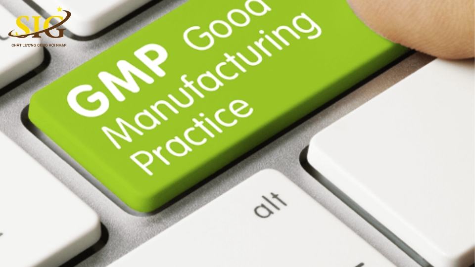 bộ hồ sơ tiêu chuẩn GMP
