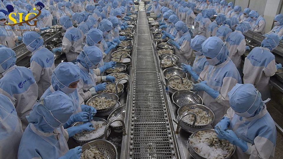 chỉ tiêu công bố an toàn thực phẩm thủy sản