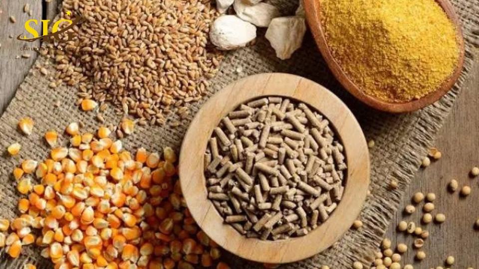 chứng nhận hợp quy thức ăn chăn nuôi