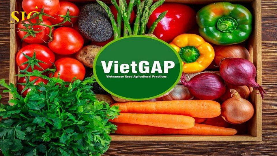 danh sách các tổ chức chứng nhận VietGAP