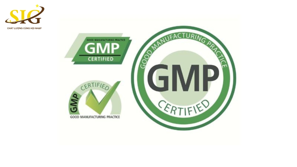 giấy chứng nhận GMP
