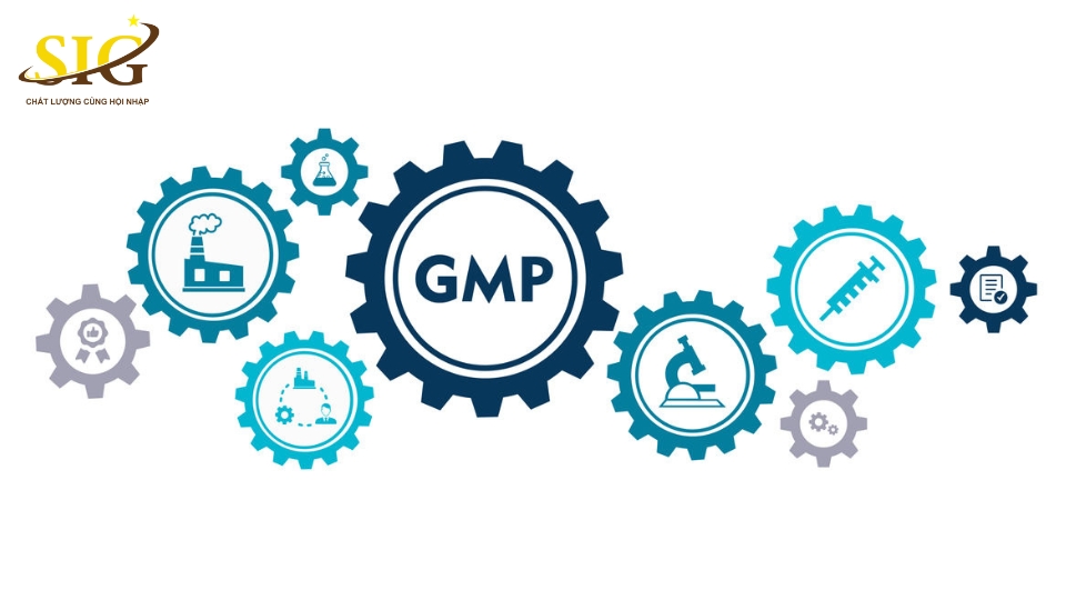quy trình GMP