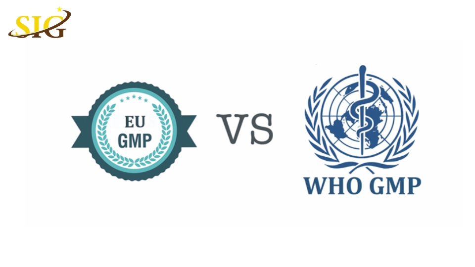 so sánh GMP WHO và GMP EU