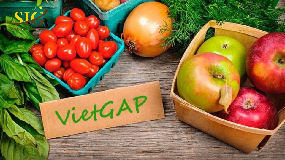vietgap là gì