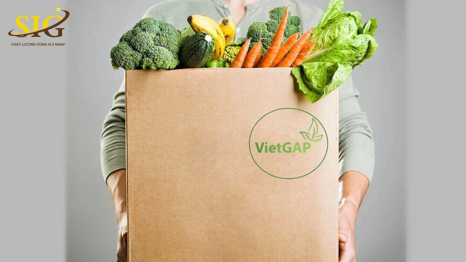 vietgap là gì