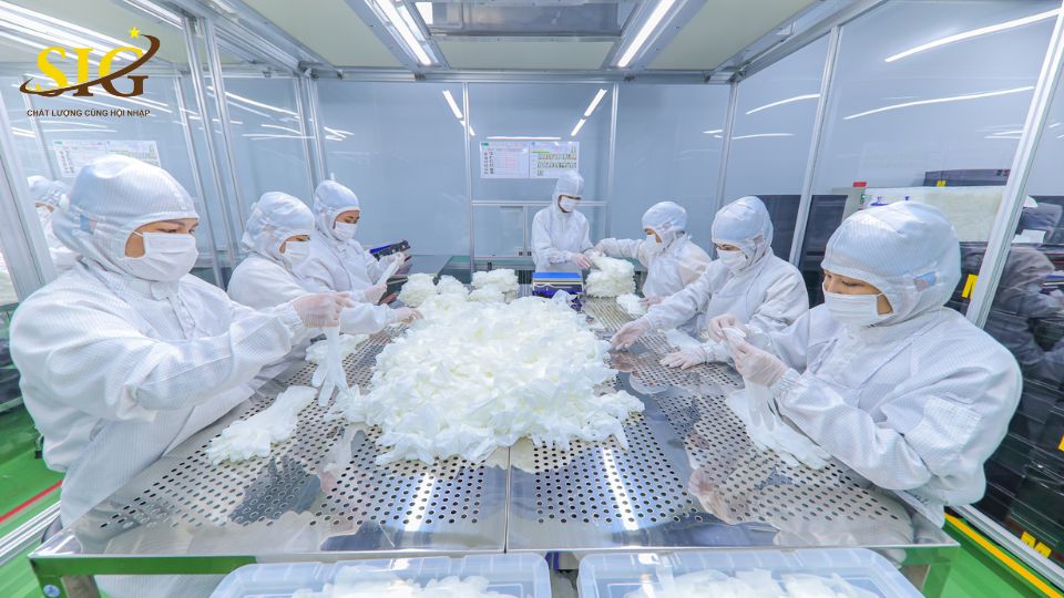 ISO 13485 trong sản xuất găng tay y tế