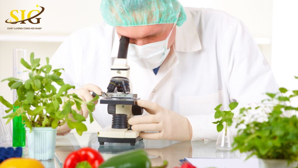 Công Bố Sản Phẩm Nước Sốt